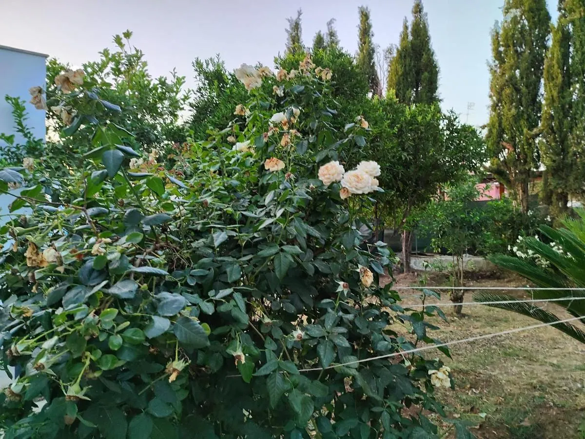 Filoxenia Di Umberto Guest House Sassari 0*,  Italy