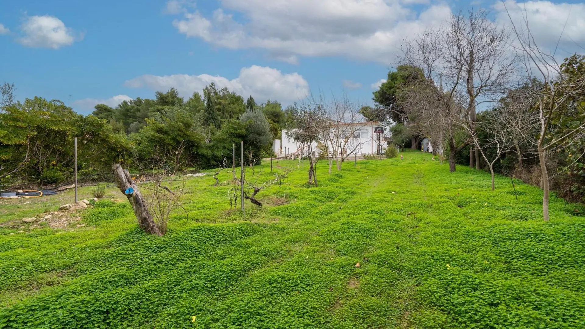 Country house Filoxenia Di Umberto Guest House Sassari Italy